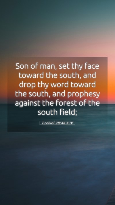 Picture 05 - Ezekiel 20:46 KJV Mobile Phone Wallpaper - Son of man, set thy face toward the south, and - Mobile Bible Verse Wallpaper