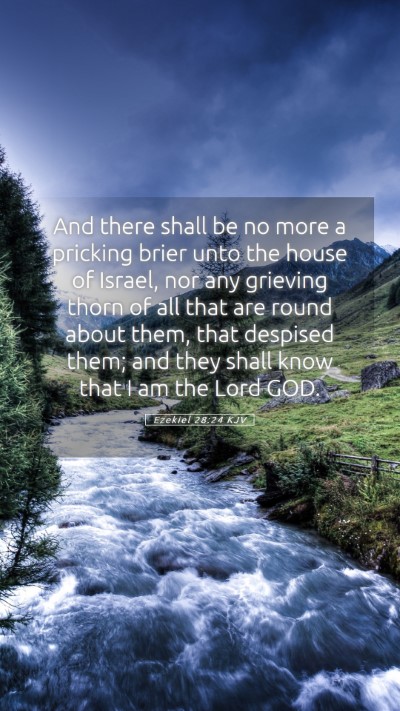Picture 05 - Ezekiel 28:24 KJV Mobile Phone Wallpaper - And there shall be no more a pricking brier unto - Mobile Bible Verse Wallpaper