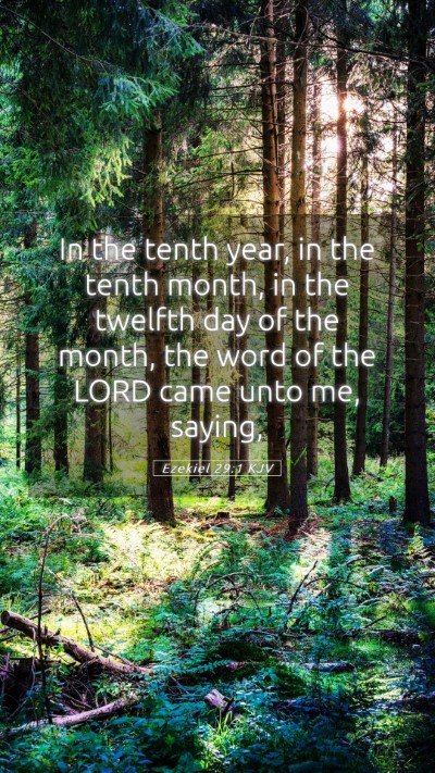 Picture 05 - Ezekiel 29:1 KJV Mobile Phone Wallpaper - In the tenth year, in the tenth month, in the - Mobile Bible Verse Wallpaper