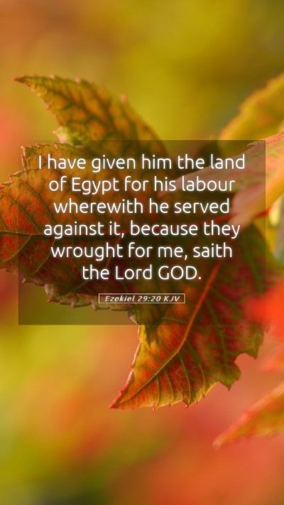 Picture 05 - Ezekiel 29:20 KJV Mobile Phone Wallpaper - I have given him the land of Egypt for his labour - Mobile Bible Verse Wallpaper
