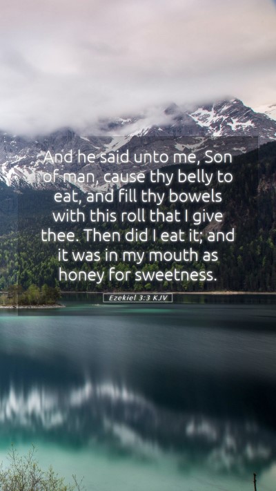 Picture 05 - Ezekiel 3:3 KJV Mobile Phone Wallpaper - And he said unto me, Son of man, cause thy belly - Mobile Bible Verse Wallpaper
