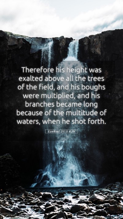 Picture 05 - Ezekiel 31:5 KJV Mobile Phone Wallpaper - Therefore his height was exalted above all the - Mobile Bible Verse Wallpaper