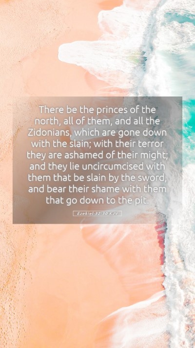 Picture 05 - Ezekiel 32:30 KJV Mobile Phone Wallpaper - There be the princes of the north, all of them, - Mobile Bible Verse Wallpaper