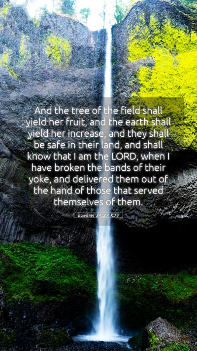 Picture 05 - Ezekiel 34:27 KJV Mobile Phone Wallpaper - And the tree of the field shall yield her fruit, - Mobile Bible Verse Wallpaper