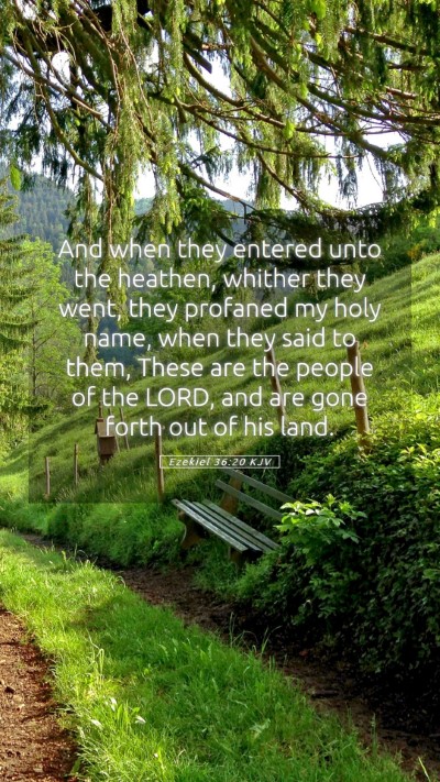 Picture 05 - Ezekiel 36:20 KJV Mobile Phone Wallpaper - And when they entered unto the heathen, whither - Mobile Bible Verse Wallpaper