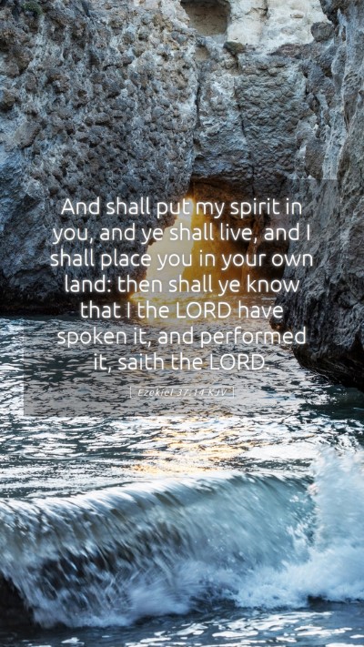 Picture 05 - Ezekiel 37:14 KJV Mobile Phone Wallpaper - And shall put my spirit in you, and ye shall - Mobile Bible Verse Wallpaper