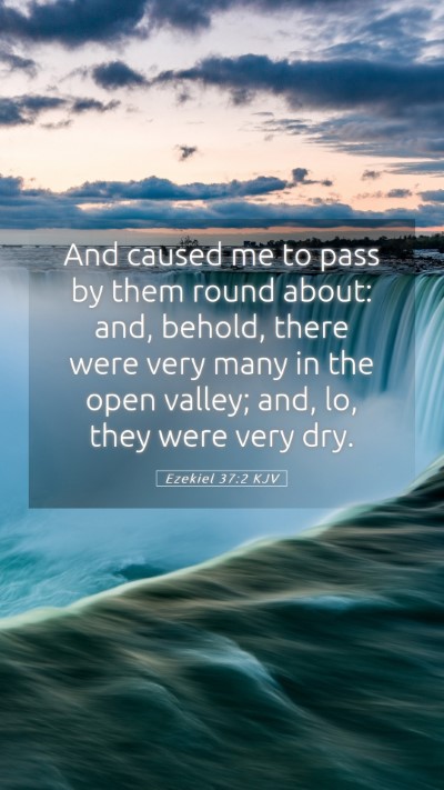Picture 05 - Ezekiel 37:2 KJV Mobile Phone Wallpaper - And caused me to pass by them round about: and, - Mobile Bible Verse Wallpaper