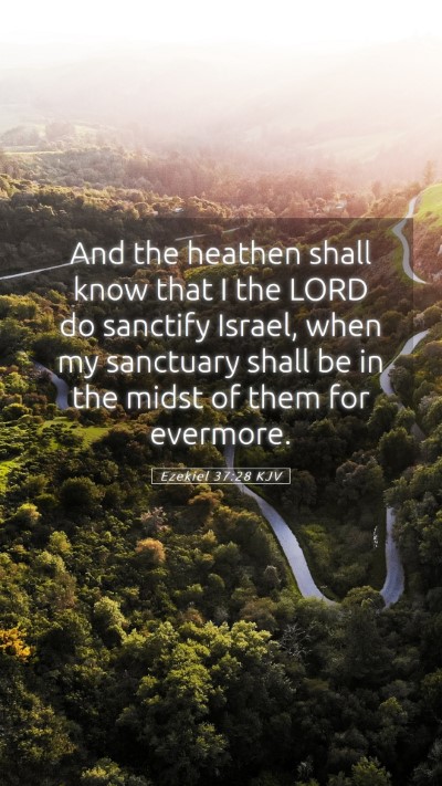 Picture 05 - Ezekiel 37:28 KJV Mobile Phone Wallpaper - And the heathen shall know that I the LORD do - Mobile Bible Verse Wallpaper