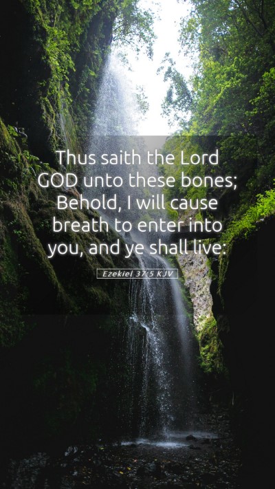 Picture 05 - Ezekiel 37:5 KJV Mobile Phone Wallpaper - Thus saith the Lord GOD unto these bones; Behold, - Mobile Bible Verse Wallpaper
