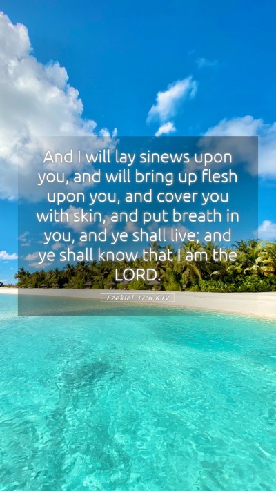 Picture 05 - Ezekiel 37:6 KJV Mobile Phone Wallpaper - And I will lay sinews upon you, and will bring up - Mobile Bible Verse Wallpaper