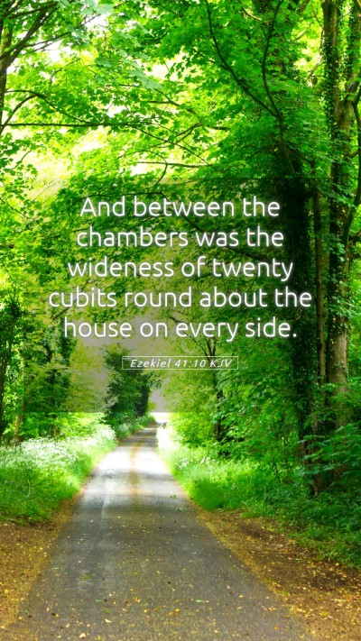 Picture 05 - Ezekiel 41:10 KJV Mobile Phone Wallpaper - And between the chambers was the wideness of - Mobile Bible Verse Wallpaper