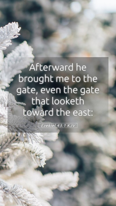 Picture 05 - Ezekiel 43:1 KJV Mobile Phone Wallpaper - Afterward he brought me to the gate, even the - Mobile Bible Verse Wallpaper