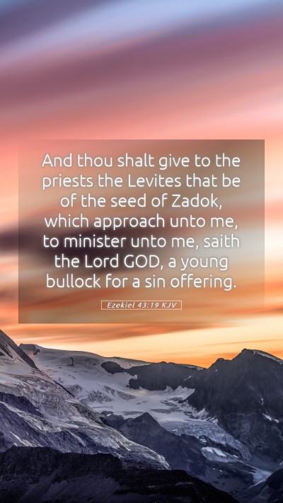 Picture 05 - Ezekiel 43:19 KJV Mobile Phone Wallpaper - And thou shalt give to the priests the Levites - Mobile Bible Verse Wallpaper