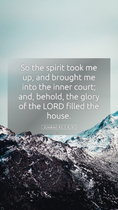 Picture 05 - Ezekiel 43:5 KJV Mobile Phone Wallpaper - So the spirit took me up, and brought me into the - Mobile Bible Verse Wallpaper