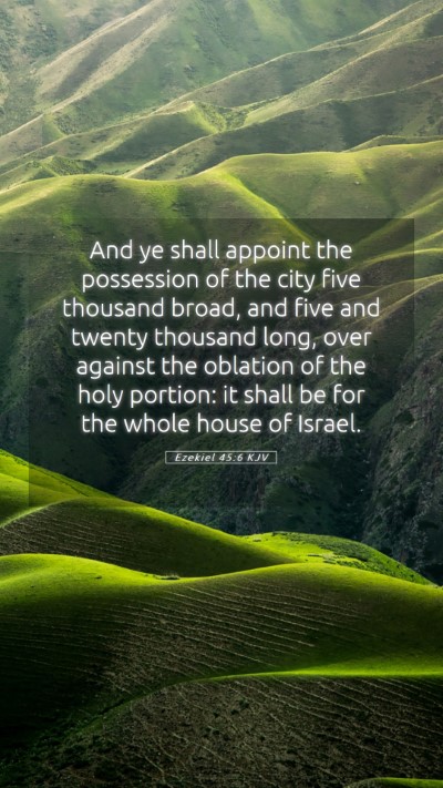 Picture 05 - Ezekiel 45:6 KJV Mobile Phone Wallpaper - And ye shall appoint the possession of the city - Mobile Bible Verse Wallpaper