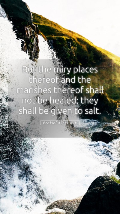 Picture 05 - Ezekiel 47:11 KJV Mobile Phone Wallpaper - But the miry places thereof and the marishes - Mobile Bible Verse Wallpaper