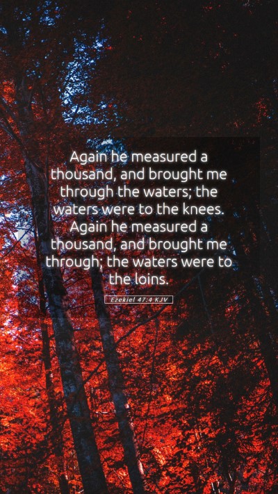 Picture 05 - Ezekiel 47:4 KJV Mobile Phone Wallpaper - Again he measured a thousand, and brought me - Mobile Bible Verse Wallpaper