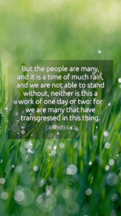 Picture 05 - Ezra 10:13 KJV Mobile Phone Wallpaper - But the people are many, and it is a time of much - Mobile Bible Verse Wallpaper