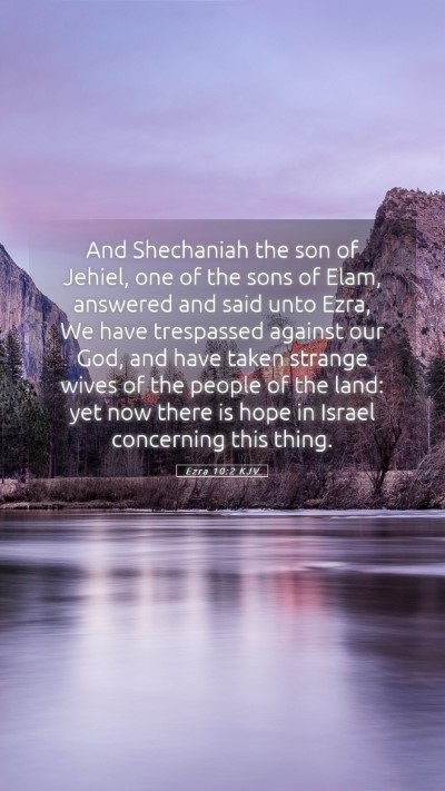 Picture 05 - Ezra 10:2 KJV Mobile Phone Wallpaper - And Shechaniah the son of Jehiel, one of the sons - Mobile Bible Verse Wallpaper