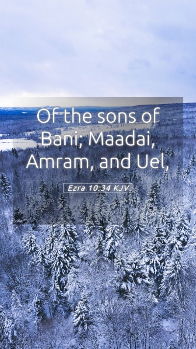 Picture 05 - Ezra 10:34 KJV Mobile Phone Wallpaper - Of the sons of Bani; Maadai, Amram, and - Mobile Bible Verse Wallpaper