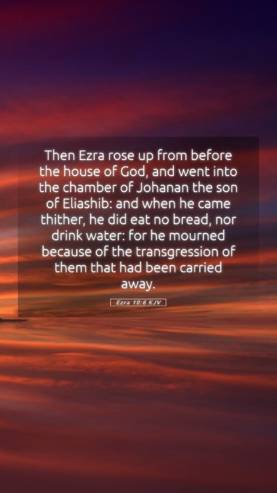 Picture 05 - Ezra 10:6 KJV Mobile Phone Wallpaper - Then Ezra rose up from before the house of God, - Mobile Bible Verse Wallpaper
