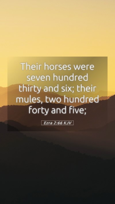 Picture 05 - Ezra 2:66 KJV Mobile Phone Wallpaper - Their horses were seven hundred thirty and six; - Mobile Bible Verse Wallpaper