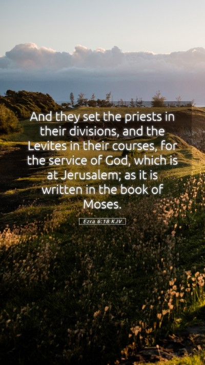 Picture 05 - Ezra 6:18 KJV Mobile Phone Wallpaper - And they set the priests in their divisions, and - Mobile Bible Verse Wallpaper