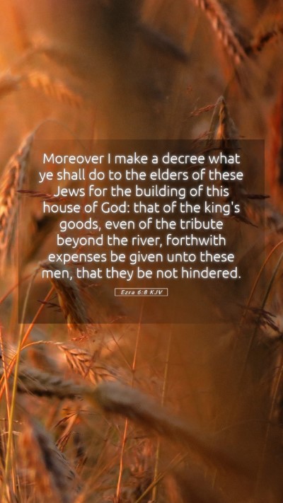 Picture 05 - Ezra 6:8 KJV Mobile Phone Wallpaper - Moreover I make a decree what ye shall do to the - Mobile Bible Verse Wallpaper