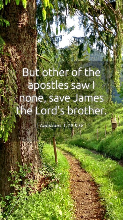 Picture 05 - Galatians 1:19 KJV Mobile Phone Wallpaper - But other of the apostles saw I none, save James - Mobile Bible Verse Wallpaper