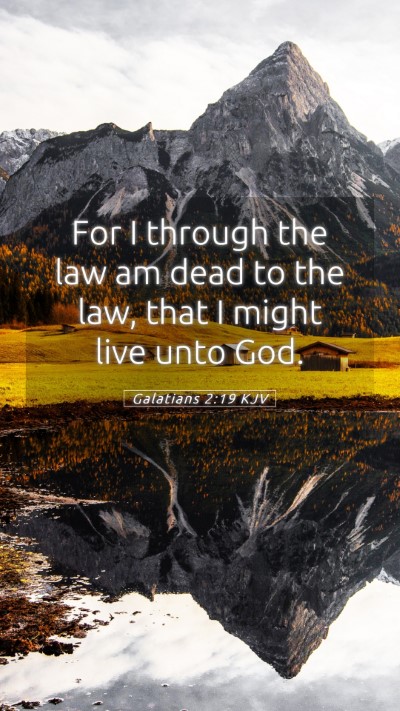 Picture 05 - Galatians 2:19 KJV Mobile Phone Wallpaper - For I through the law am dead to the law, that I - Mobile Bible Verse Wallpaper