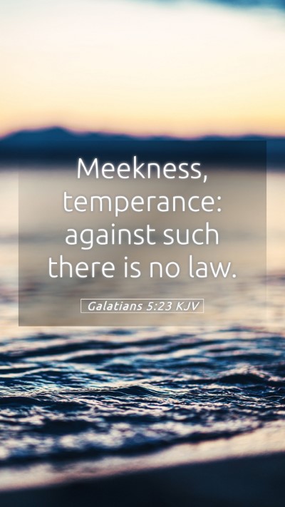 Picture 05 - Galatians 5:23 KJV Mobile Phone Wallpaper - Meekness, temperance: against such there is no - Mobile Bible Verse Wallpaper