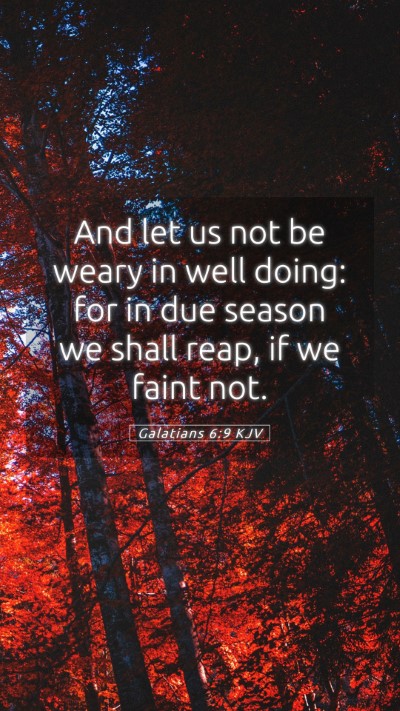 Picture 05 - Galatians 6:9 KJV Mobile Phone Wallpaper - And let us not be weary in well doing: for in due - Mobile Bible Verse Wallpaper