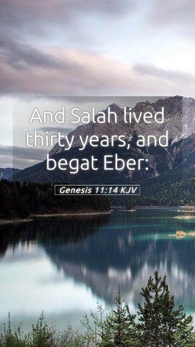Picture 05 - Genesis 11:14 KJV Mobile Phone Wallpaper - And Salah lived thirty years, and begat - Mobile Bible Verse Wallpaper