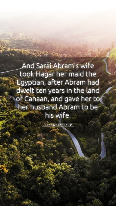 Picture 05 - Genesis 16:3 KJV Mobile Phone Wallpaper - And Sarai Abram's wife took Hagar her maid the - Mobile Bible Verse Wallpaper