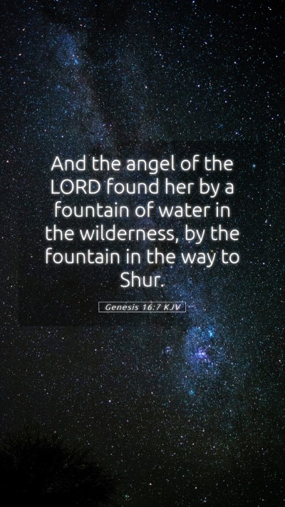 Picture 05 - Genesis 16:7 KJV Mobile Phone Wallpaper - And the angel of the LORD found her by a fountain - Mobile Bible Verse Wallpaper