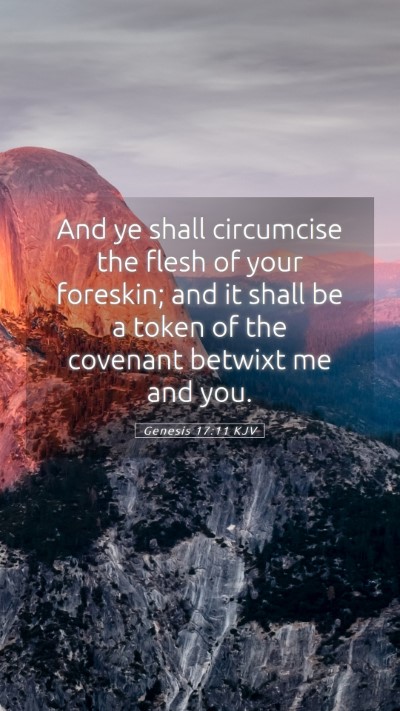 Picture 05 - Genesis 17:11 KJV Mobile Phone Wallpaper - And ye shall circumcise the flesh of your - Mobile Bible Verse Wallpaper