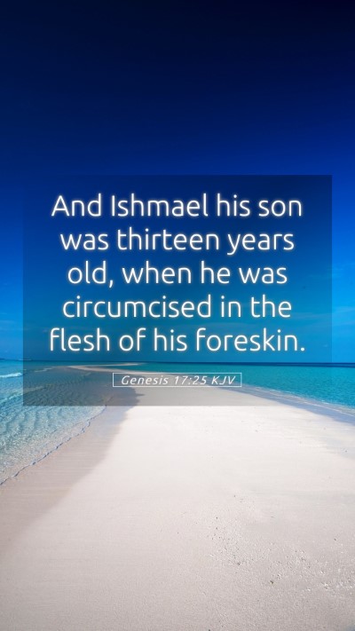 Picture 05 - Genesis 17:25 KJV Mobile Phone Wallpaper - And Ishmael his son was thirteen years old, when - Mobile Bible Verse Wallpaper