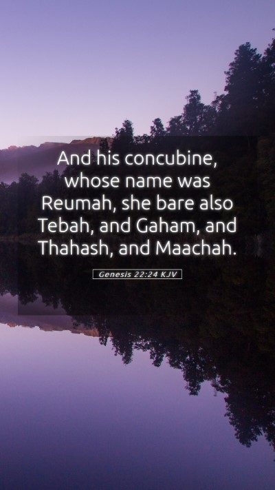 Picture 05 - Genesis 22:24 KJV Mobile Phone Wallpaper - And his concubine, whose name was Reumah, she - Mobile Bible Verse Wallpaper