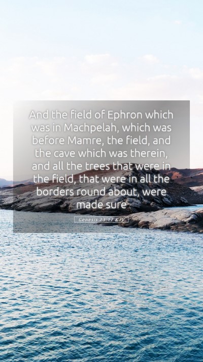 Picture 05 - Genesis 23:17 KJV Mobile Phone Wallpaper - And the field of Ephron which was in Machpelah, - Mobile Bible Verse Wallpaper