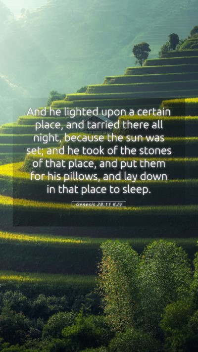 Picture 05 - Genesis 28:11 KJV Mobile Phone Wallpaper - And he lighted upon a certain place, and tarried - Mobile Bible Verse Wallpaper