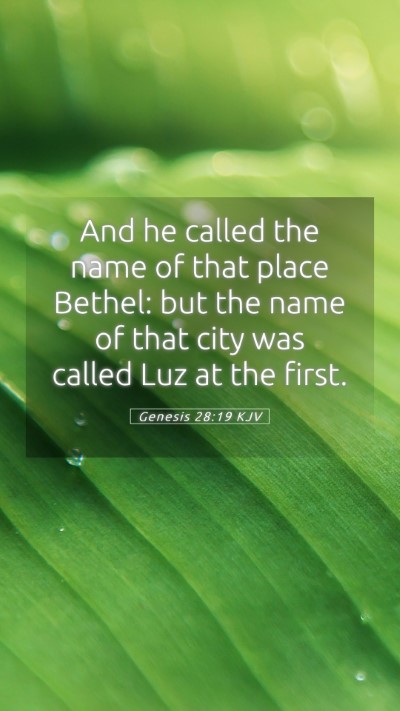 Picture 05 - Genesis 28:19 KJV Mobile Phone Wallpaper - And he called the name of that place Bethel: but - Mobile Bible Verse Wallpaper
