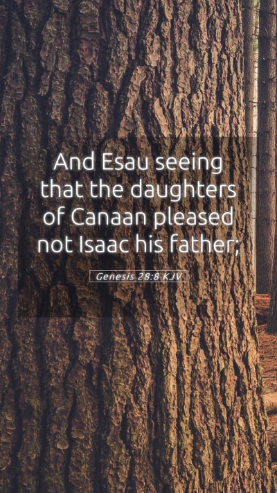 Picture 05 - Genesis 28:8 KJV Mobile Phone Wallpaper - And Esau seeing that the daughters of Canaan - Mobile Bible Verse Wallpaper