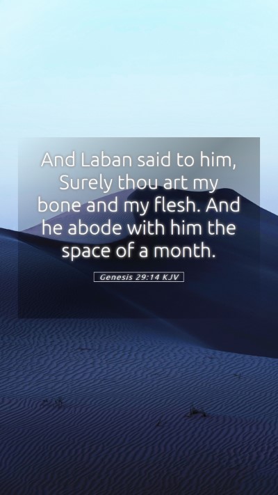 Picture 05 - Genesis 29:14 KJV Mobile Phone Wallpaper - And Laban said to him, Surely thou art my bone - Mobile Bible Verse Wallpaper
