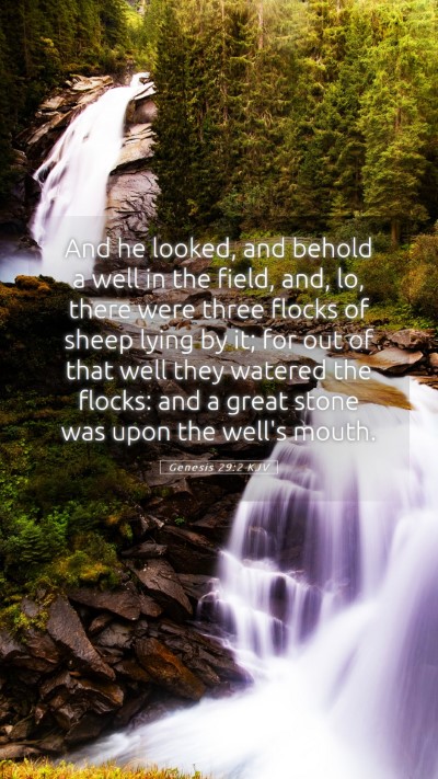 Picture 05 - Genesis 29:2 KJV Mobile Phone Wallpaper - And he looked, and behold a well in the field, - Mobile Bible Verse Wallpaper
