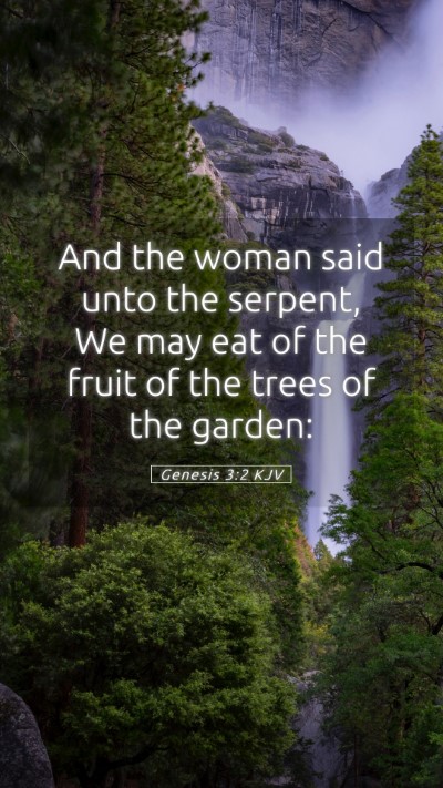 Picture 05 - Genesis 3:2 KJV Mobile Phone Wallpaper - And the woman said unto the serpent, We may eat - Mobile Bible Verse Wallpaper