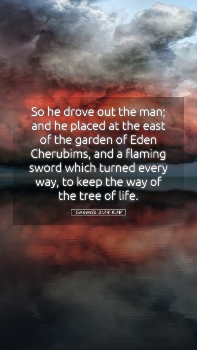 Picture 05 - Genesis 3:24 KJV Mobile Phone Wallpaper - So he drove out the man; and he placed at the - Mobile Bible Verse Wallpaper
