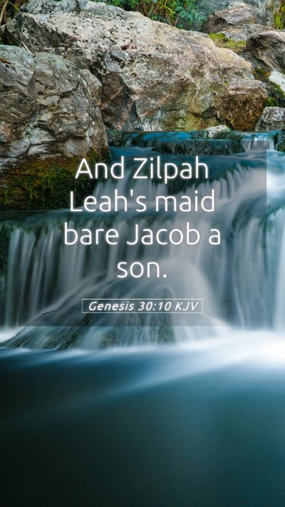 Picture 05 - Genesis 30:10 KJV Mobile Phone Wallpaper - And Zilpah Leah's maid bare Jacob a - Mobile Bible Verse Wallpaper