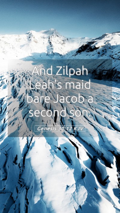 Picture 05 - Genesis 30:12 KJV Mobile Phone Wallpaper - And Zilpah Leah's maid bare Jacob a second - Mobile Bible Verse Wallpaper