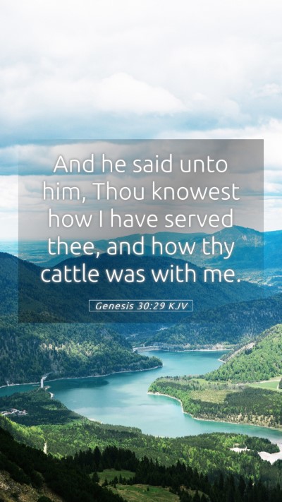 Picture 05 - Genesis 30:29 KJV Mobile Phone Wallpaper - And he said unto him, Thou knowest how I have - Mobile Bible Verse Wallpaper