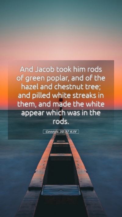 Picture 05 - Genesis 30:37 KJV Mobile Phone Wallpaper - And Jacob took him rods of green poplar, and of - Mobile Bible Verse Wallpaper